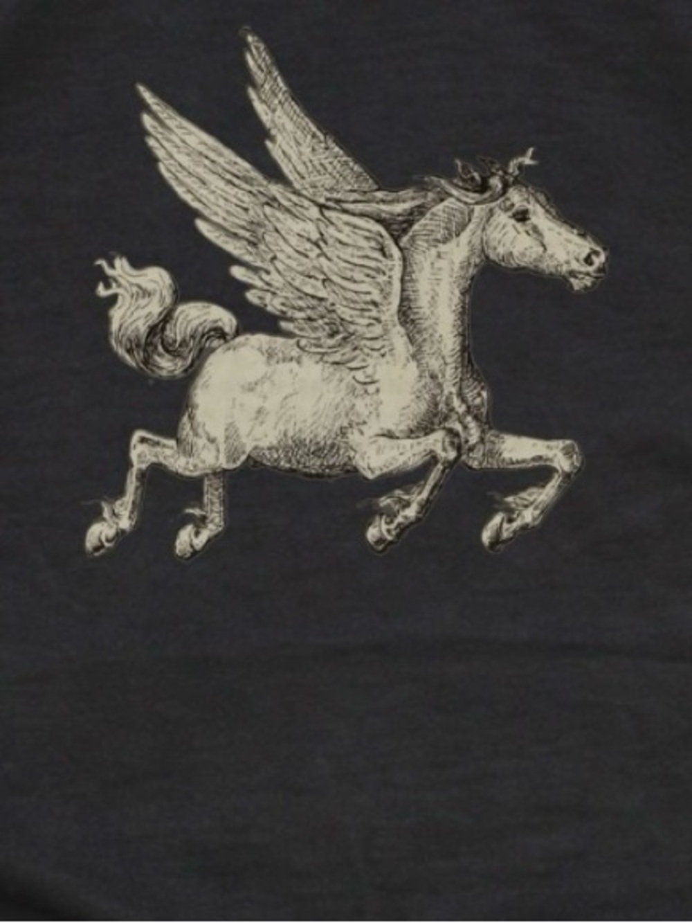 Black Graphic T‑Shirt with Pegasus Print - Picture 2 of 4